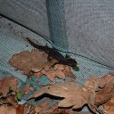 2010-04-01_01032611.jpg