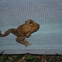 2010-04-01_01153615.jpg