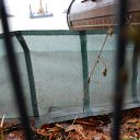 Elbe, toad fence, leave
